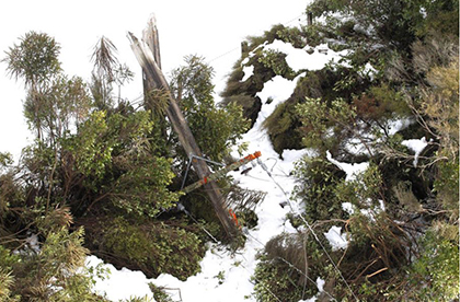 Badly maintained trees near power lines causing outages in storms image